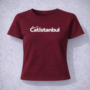 Catistanbul Basics
