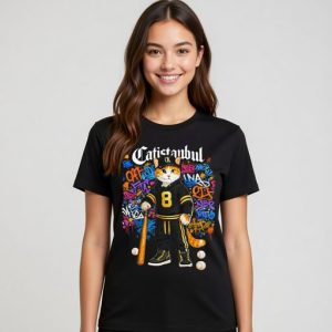 Alternative view of Baseball